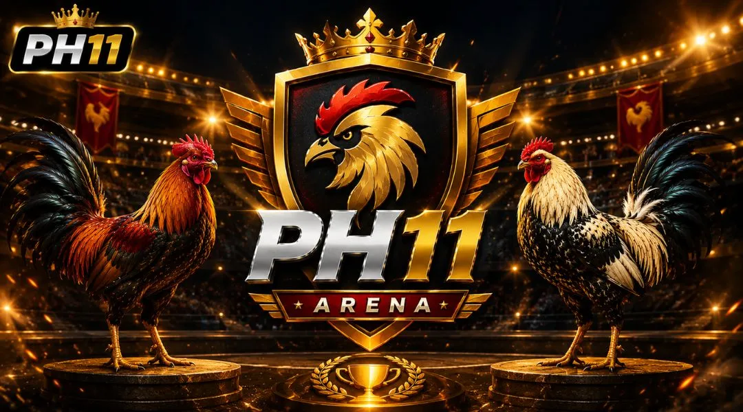 Cockfighting With Metal Spurs – A Dramatic And Intense Arena At PH11